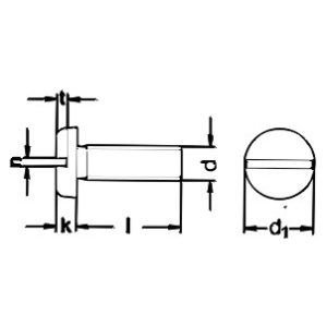 DIN 85 Slotted Pan Head Machine Screw