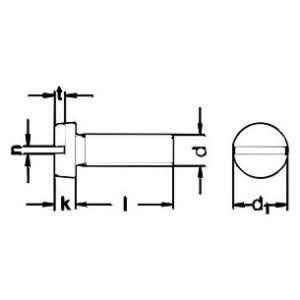DIN 84 Slotted Cheese Head