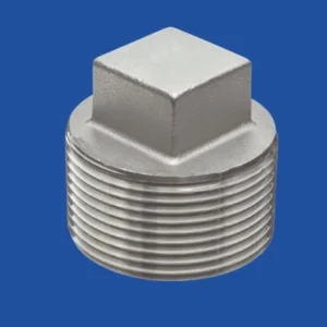 Stainless steel plugs male threaded SS plugs